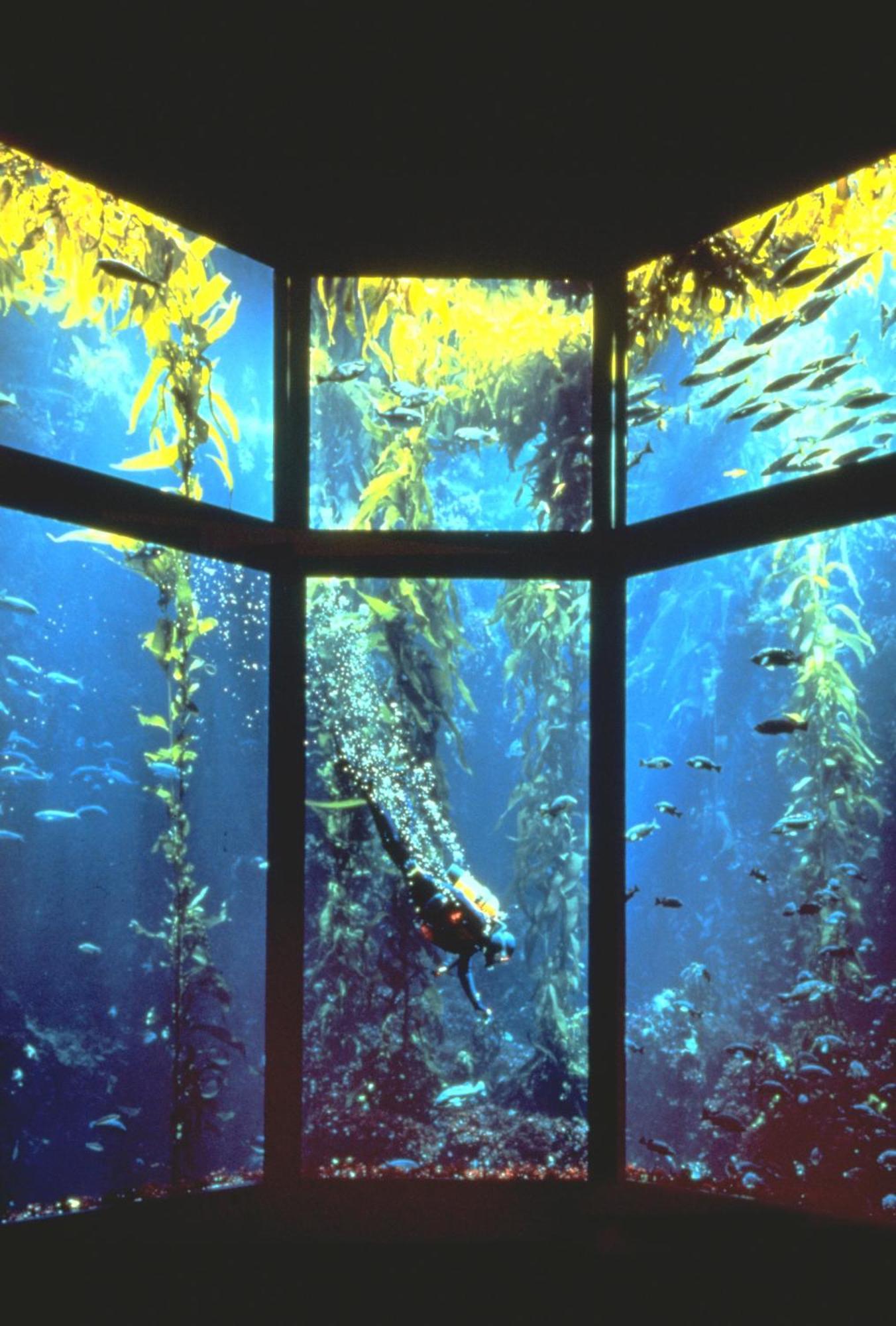 Monterey Bay Inn Dış mekan fotoğraf
